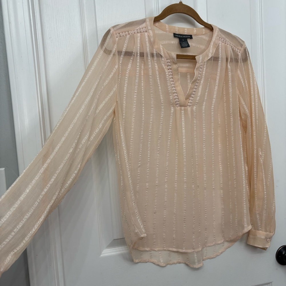 Sheer Blush Stripe Blouse | Chelsea & Theodore S - Picture 3 of 9